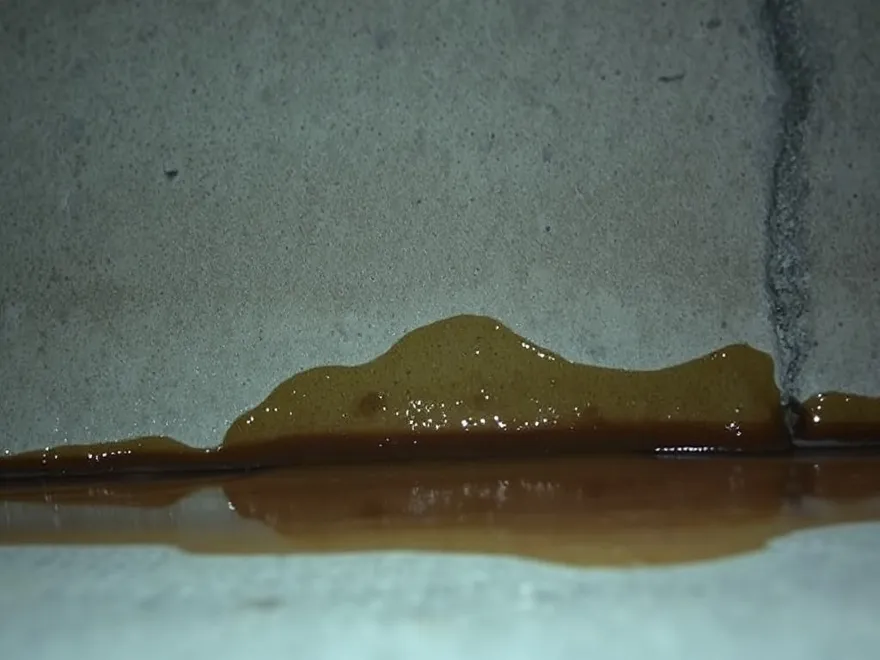 Damp seepage stain spreading across the base of a poured concrete basement wall
